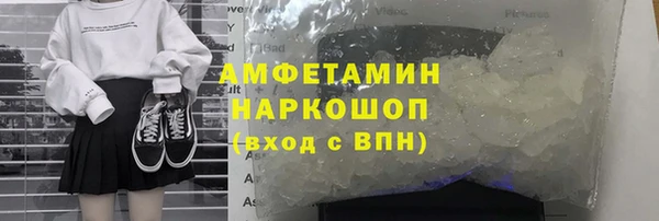 индика Вяземский